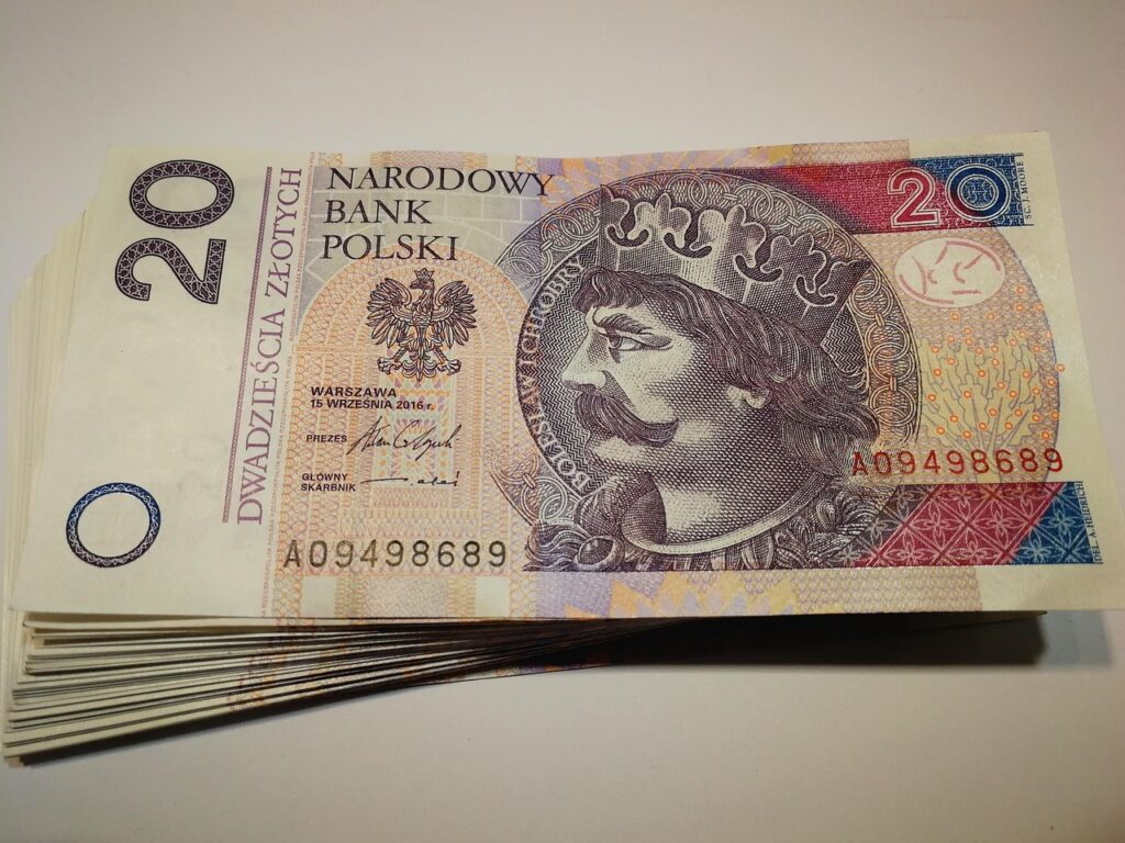 20 zł